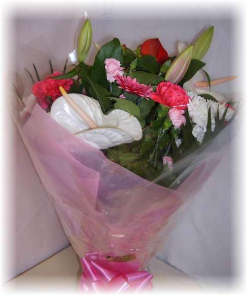 Cool Pink Handtied Cool Pink Handtied